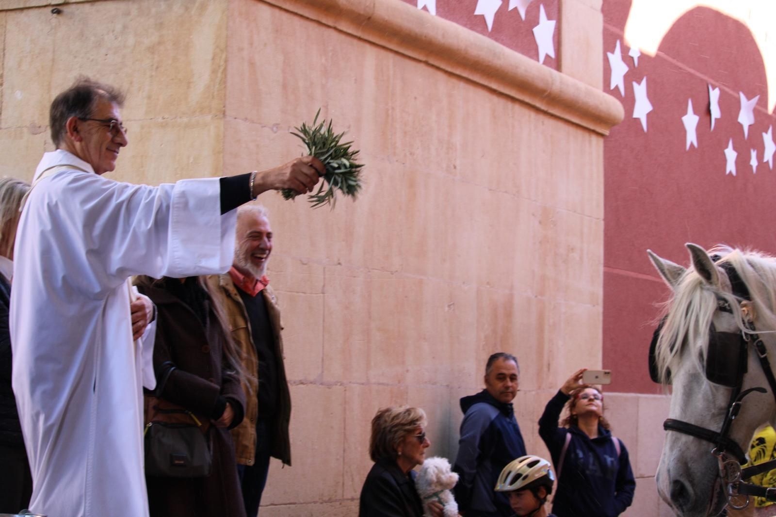 El Campello celebra la bendición tradicional en por Sant Antoni del Porquet