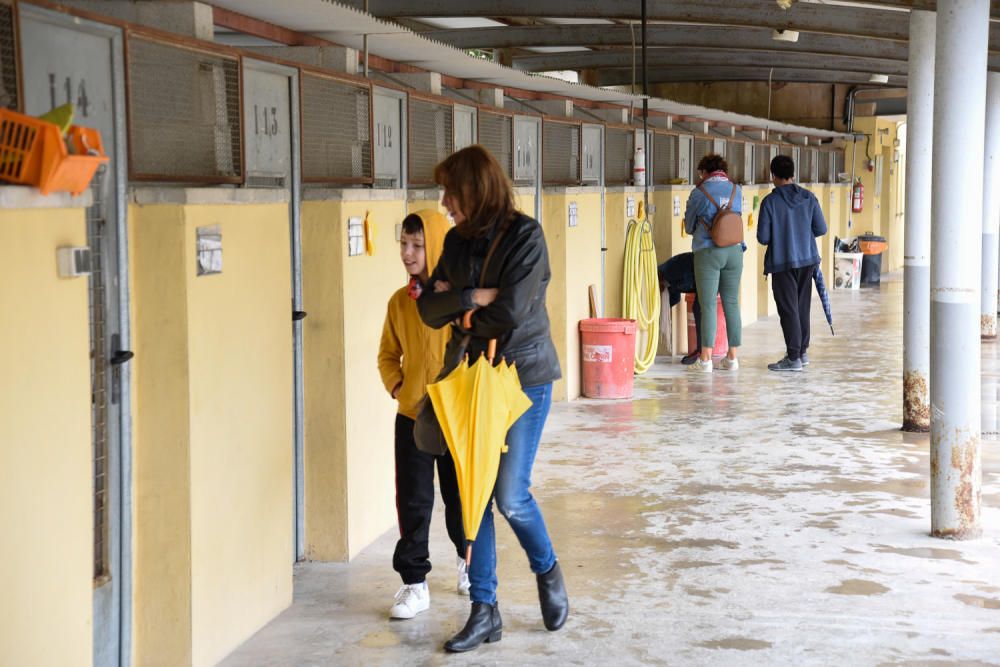 Puertas abiertas de la protectora de Alcoy