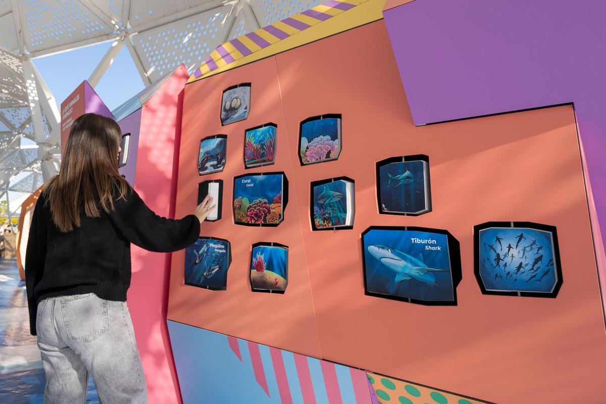 Una visitante interactúa con uno de los módulos