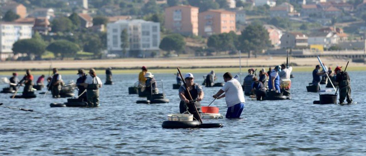 Marisqueo en la ría.