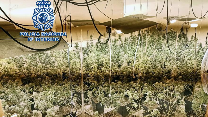 Desmantelado un supermercado de la droga con marihuana, cocaína y hachís en Vila-real