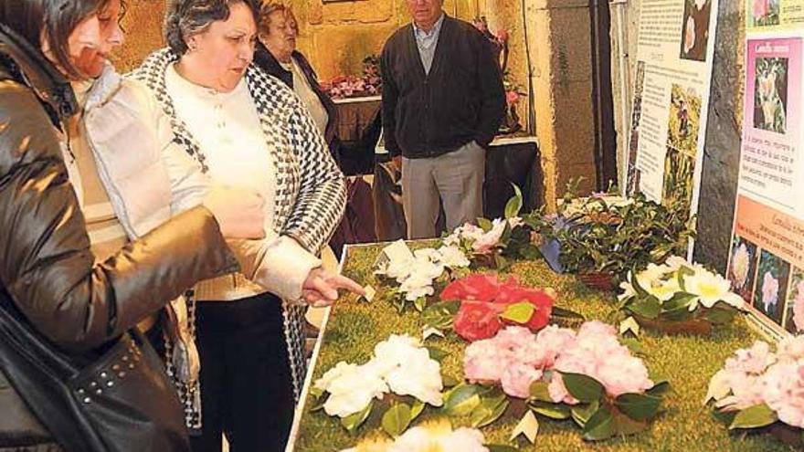Lérez celebra la exposición de la camelia con un homenaje a Antonio Odriozola