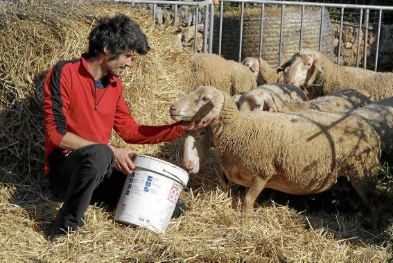 Eine Kooperative sorgt dafür, dass nur zertifiziertes Fleisch auf den Tellern landet.