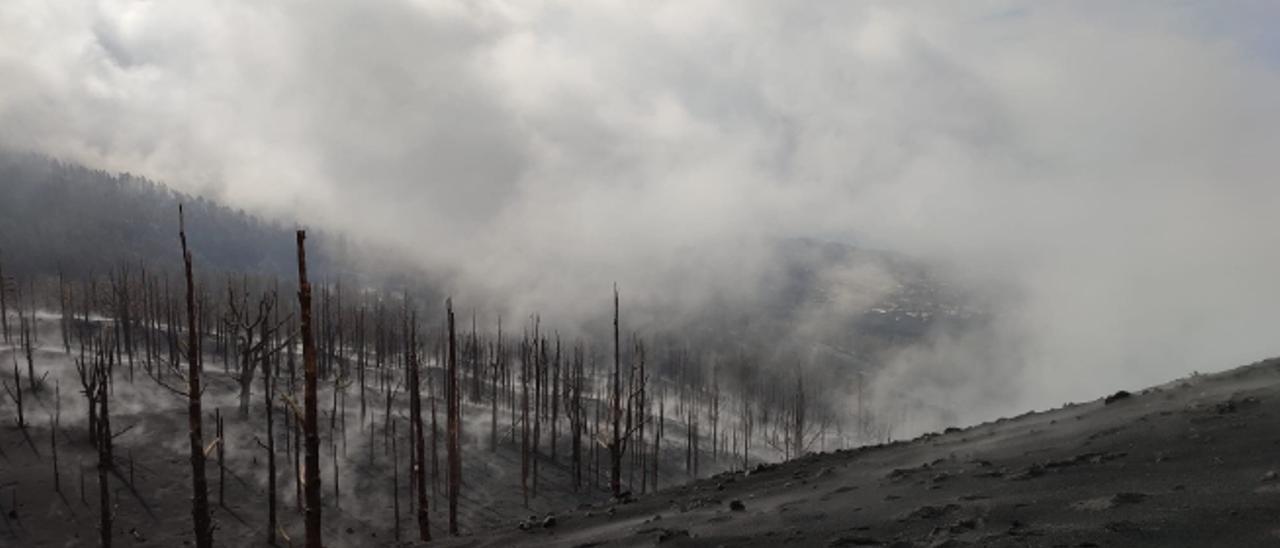 Aspecto del entorno del volcán de La Palma.