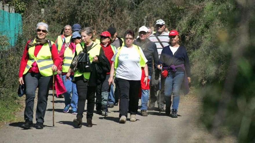 Medio centenar de personas participaron en la ruta en Lalín. // Bernabé/Luismy