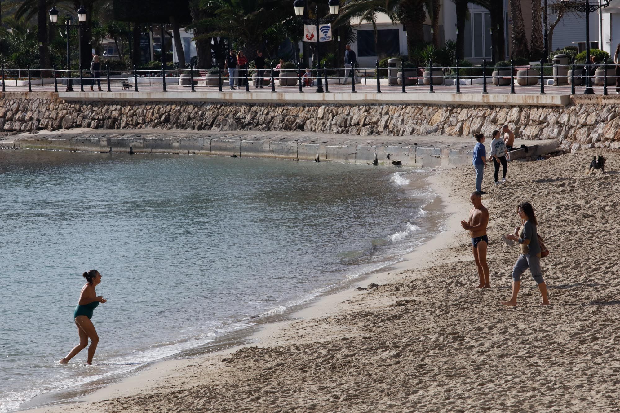 El tiempo en Ibiza: temperaturas primaverales y anómalas para despedir el  año - Diario de Ibiza