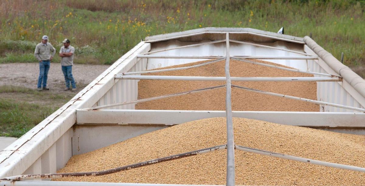 El sector agrari nord-americà, en ruïnes El sector agrari nord-americà, en ruïnes