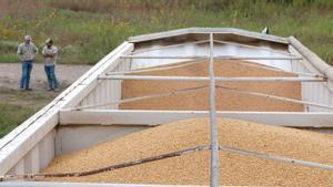 El sector agrari nord-americà, en ruïnes