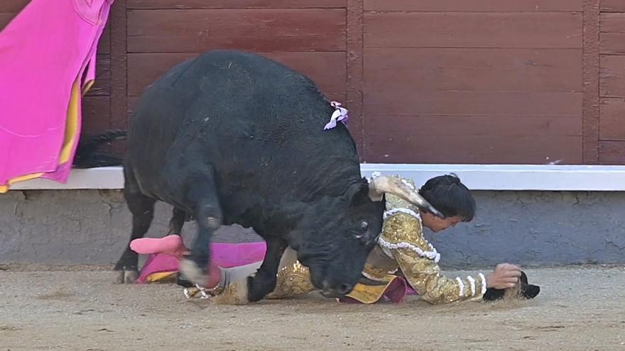 GONZALO CABALLERO SUFRE UNA COGIDA EN LAS VENTAS