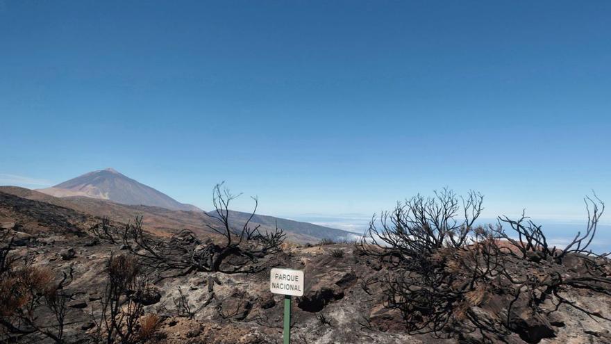 Así ha quedado el paisaje tras el incendio de Tenerife