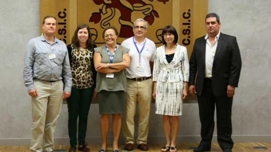 Representantes de las cuatro entidades (INCAR, Química del Nalón, Universidad de Leeds y Universidad de Wroclaw), junto al coodinador del proyecto, Marcos Granda (en el centro de la foto), ayer, en las instalaciones del INCAR.