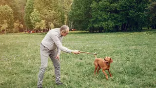 Las mejores razas de perro para personas mayores