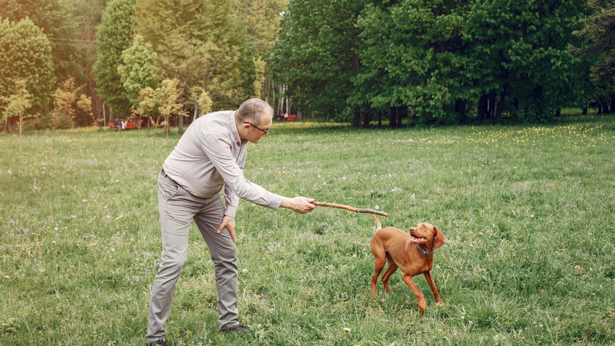 Estos son los mejores perros para convivir con personas mayores.