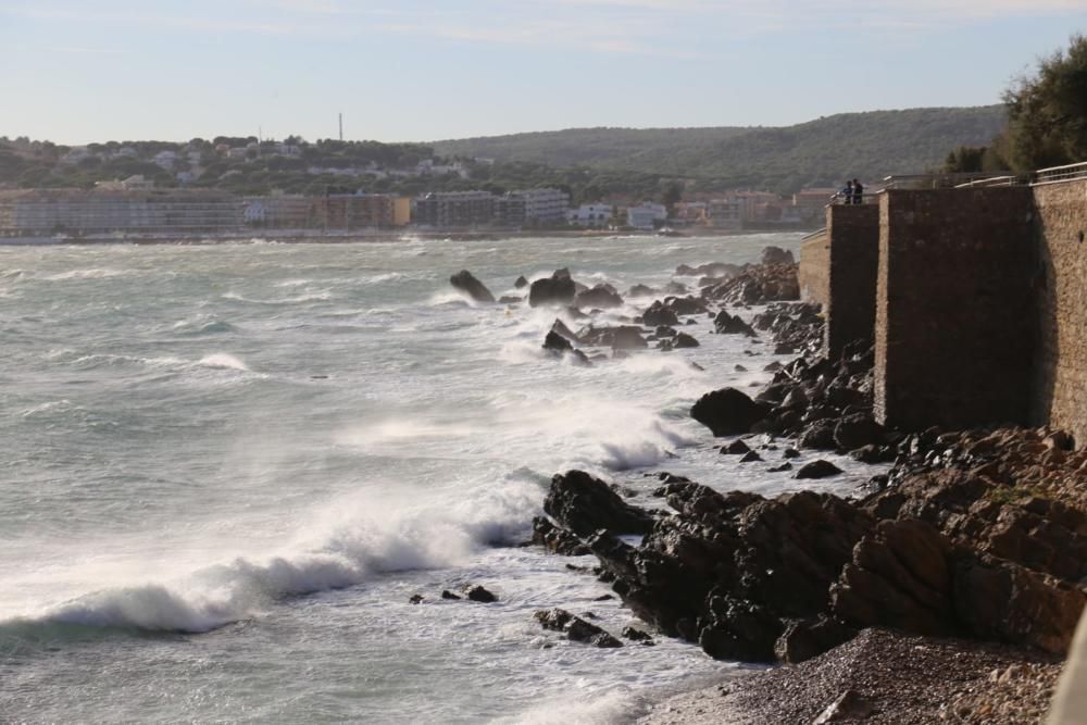 El vent provoca destrosses a l'Empordà