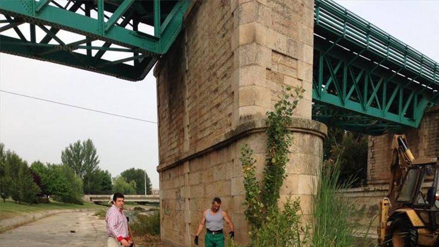 El Ayuntamiento de Mérida inicia los trabajos de limpieza del arroyo Albarregas