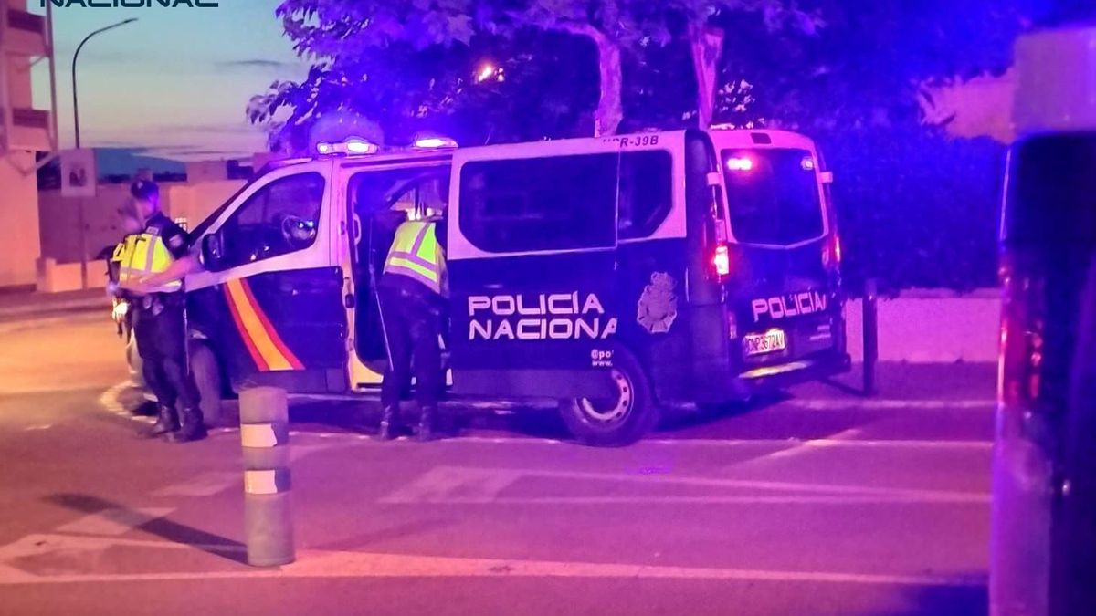 Agentes de la Policía Nacional durante una actuación nocturna.