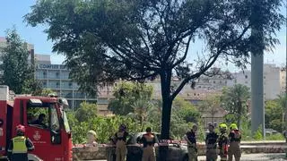 Un vehículo incendiado en Campanar dificulta el tráfico en Valencia