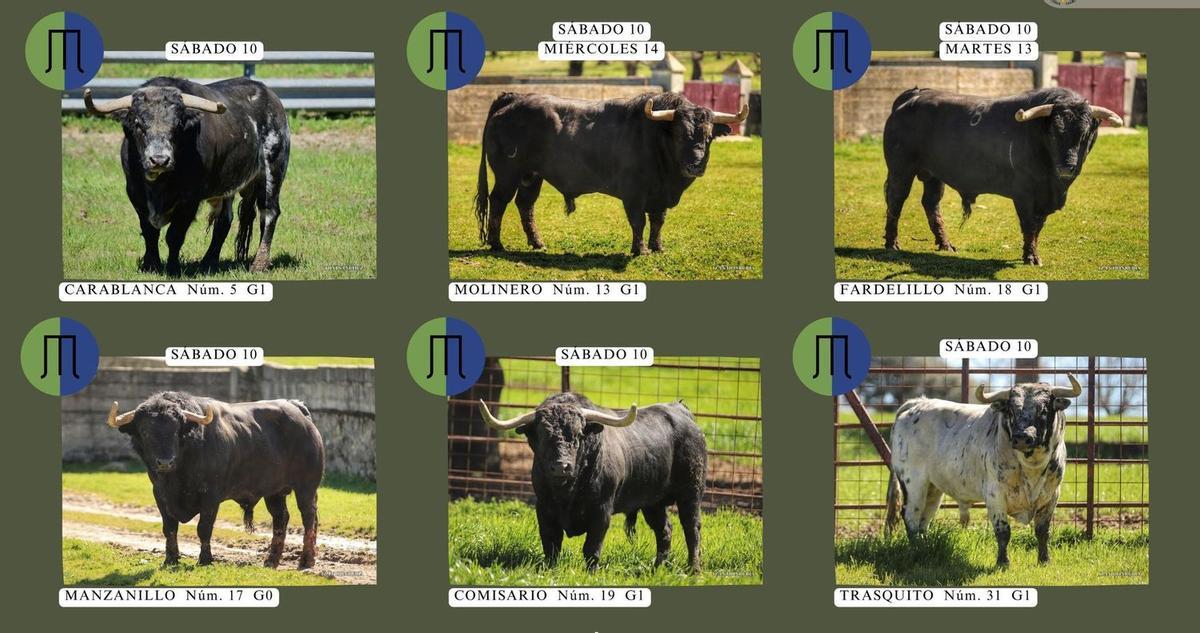 Estos son los seis toros que protagonizarán el encierro del sábado, 10 de mayo.