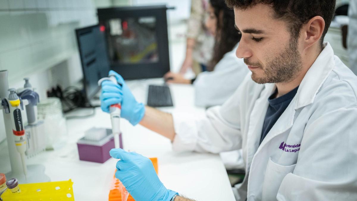 Un investigador realiza estudios de muestras en laboratorio.