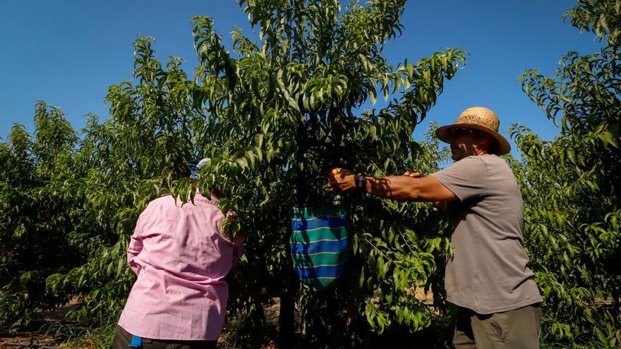 El salario medio bruto de los cordobeses crece un 14% en 5 años sin salir del furgón de cola