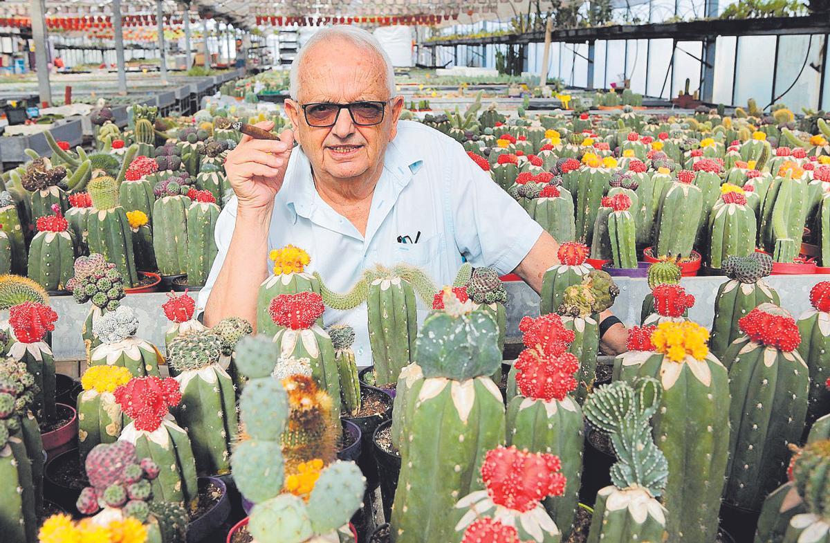zingende cactus GiggleBloom Cactus – Zingende & dansende cactus – plezier & vermaak voor  kinderen – ideaal als cadeau – Cozey Maison main image 0
