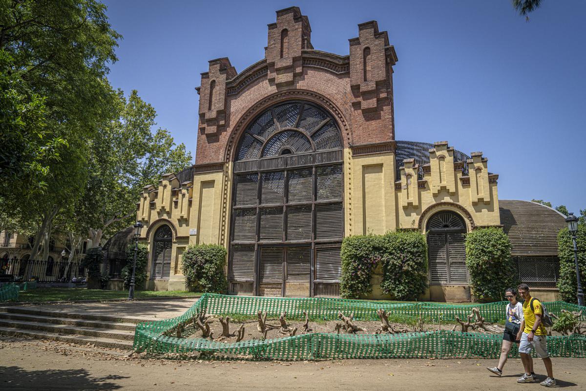 Barcelona 18/07/2024 Barcelona. El alcalde anuncia a las 11.15 horas al Umbráculo un paquete de obras en el parque de la Ciutadella los próximos meses. Fotogaleria del estado actual del Umbráculo y de los espacios donde anuncie mejoras. ESPACIO: UMBRÁCULO AUTOR: MANU MITRU