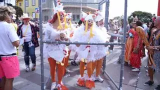 ¿El disfraz más original del Carnaval?: una jaula, huevos y gallinas que conquistaron la playa de Arinaga