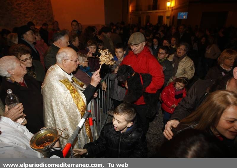 GALERÍA FOTOS - La provincia celebra Sant Antoni