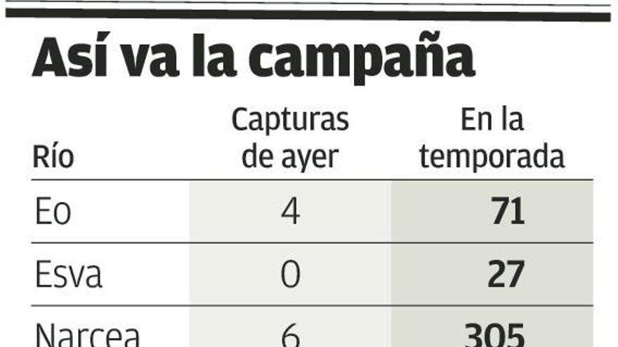 La jornada de cotos se saldó ayer con 23 salmones