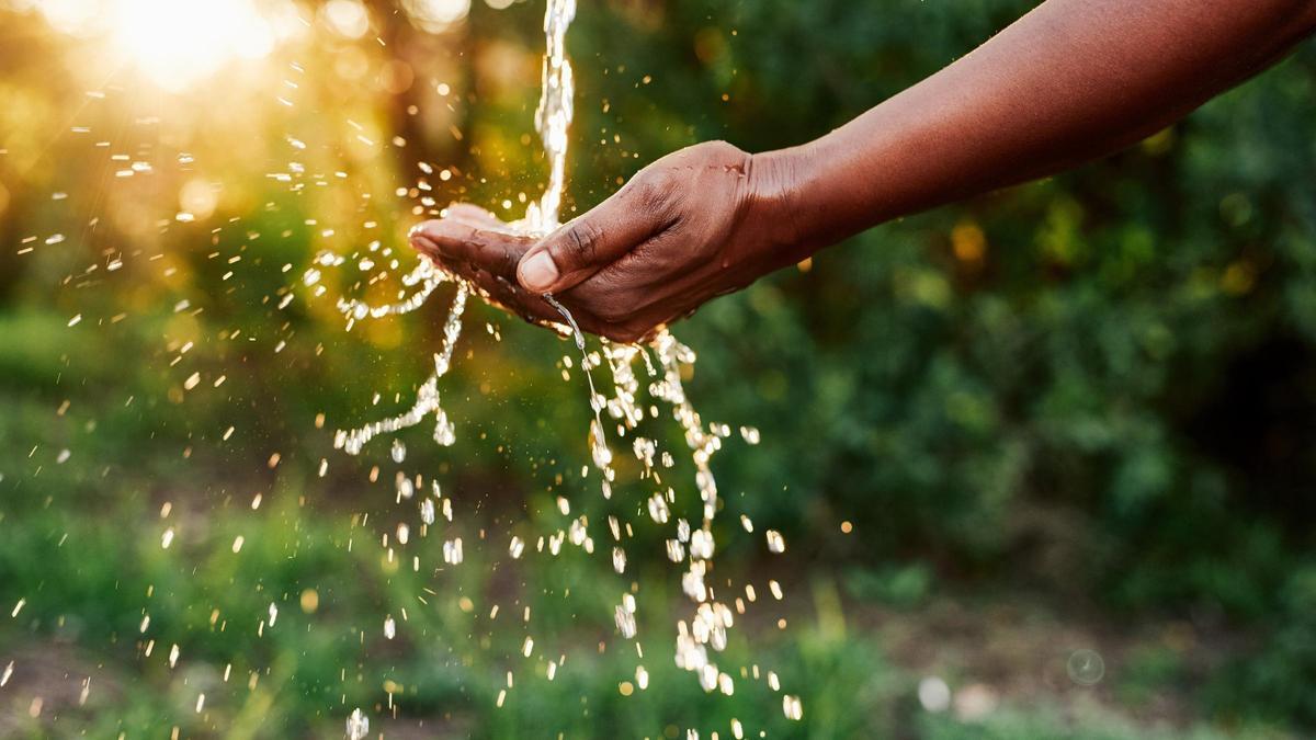 Día Mundial del Agua