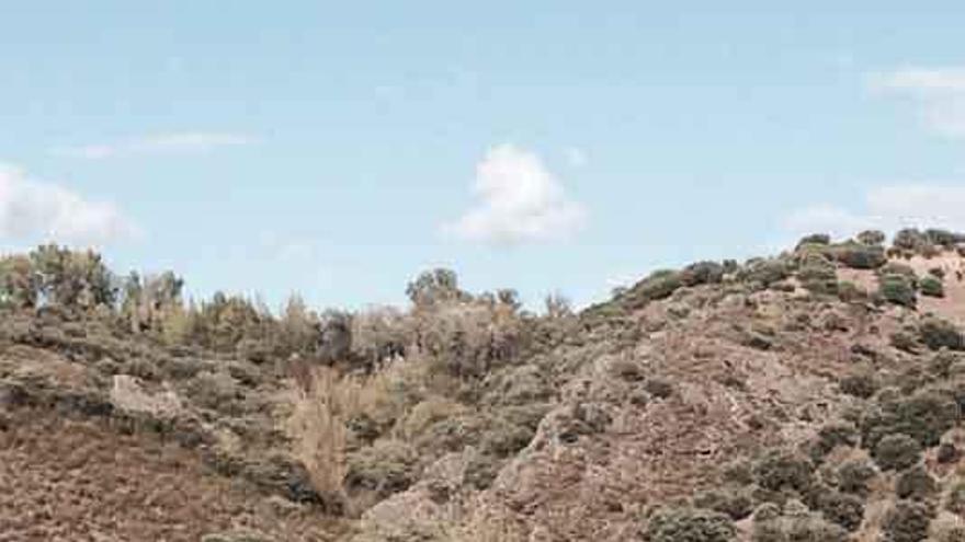 Zona del embalse donde se vio por última vez al toro.