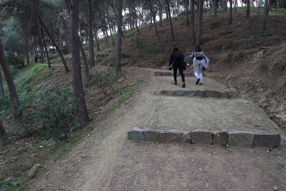 Parque Forestal del Monte Gibrafaro