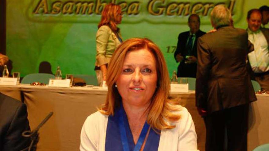 La directora general de CAM, María Dolores Amorós.