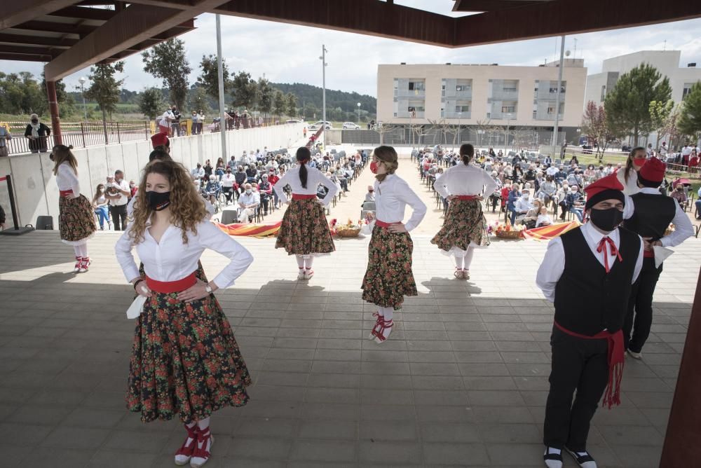 Caramelles a Callús