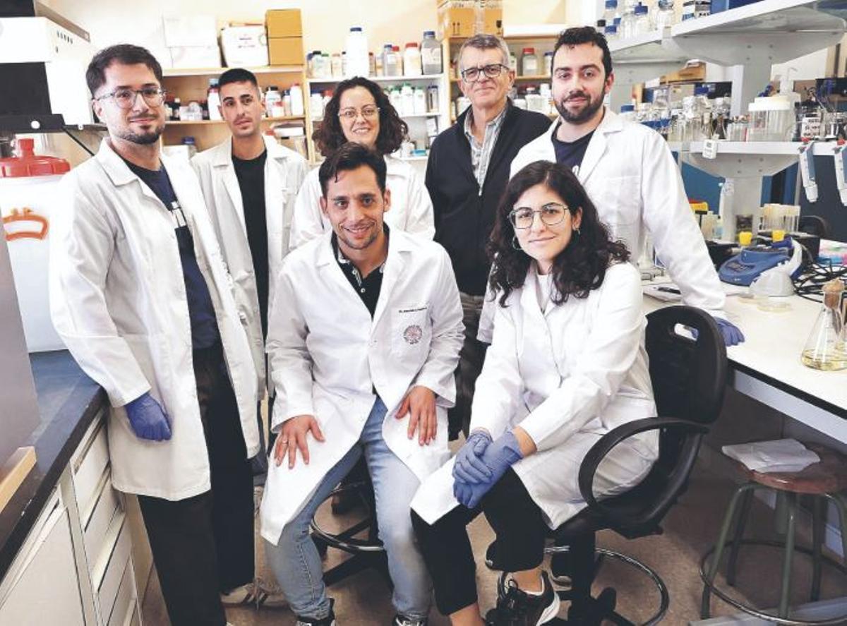 Miembros del grupo de Biotecnología Microbiana de la UMU, que ha llevado a cabo la investigación.