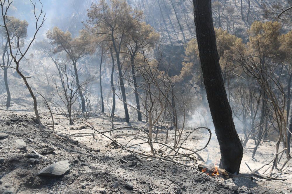 Tasques d'extinció de l'incendi de Capellades