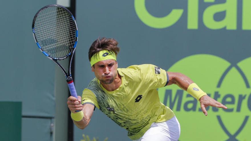 David Ferrer