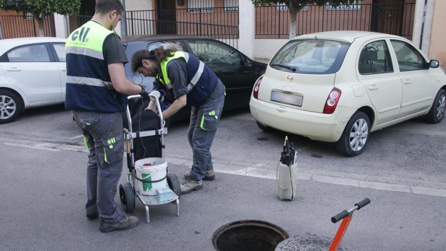 Alaquàs lucha contra las plagas