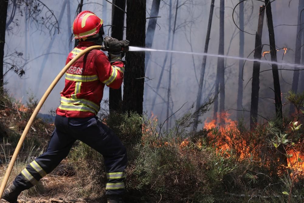 Incendio de grandes dimensiones en el centro de Portugal.