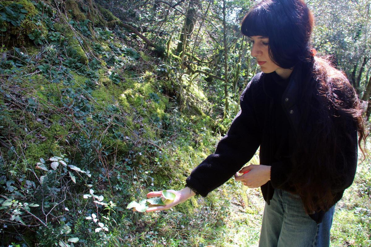 Bea Andrés amb algunes plantes recollides.