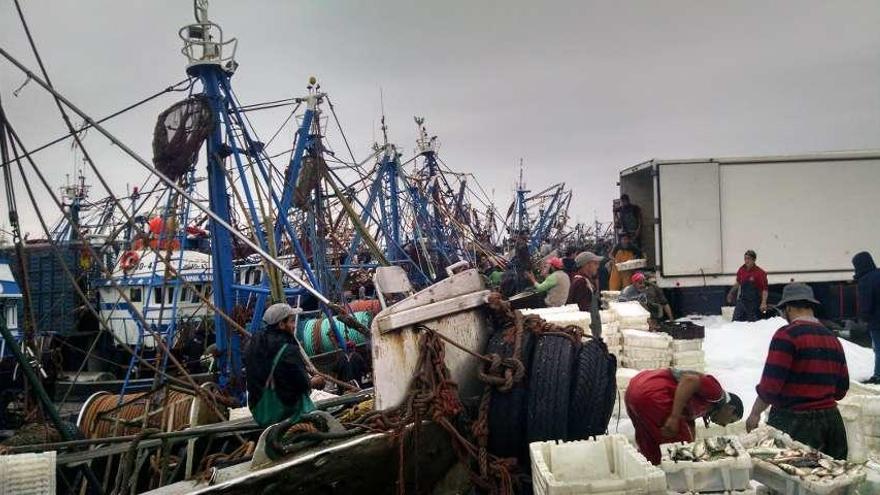 Barcos de pesca y marineros en el puerto de Dakhla, en el que también opera la flota gallega. // A.A.