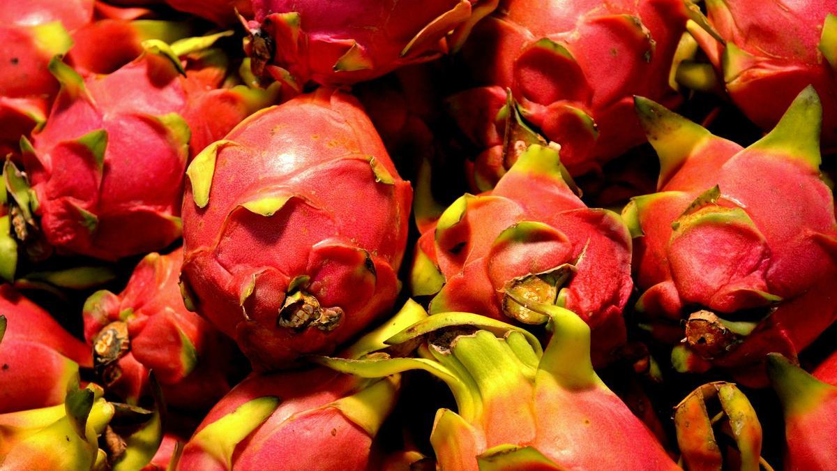 El fruto de la pitahaya es muy apreciado