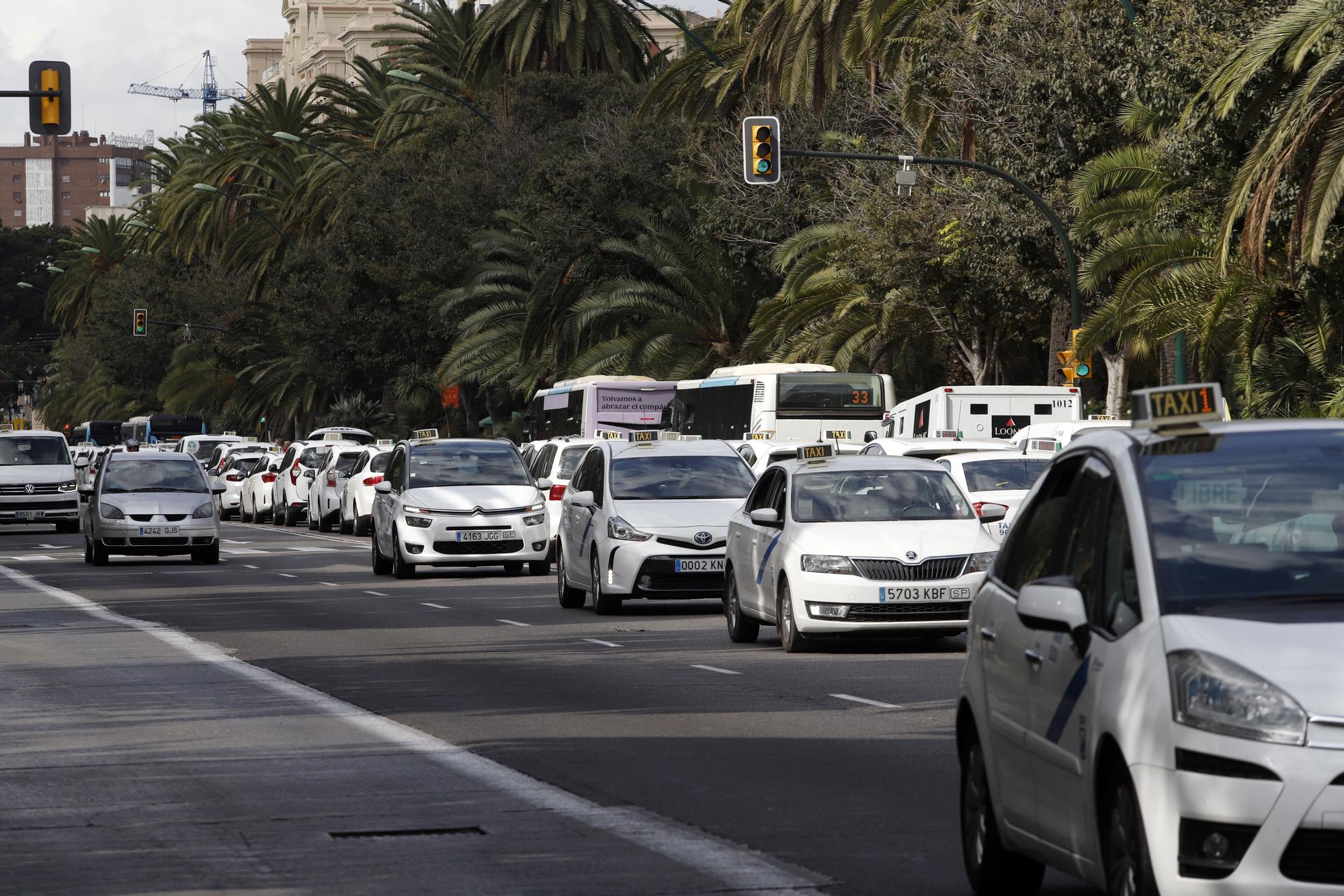 Manifestación del sector del taxi en Málaga contra el intrusismo de las VTC