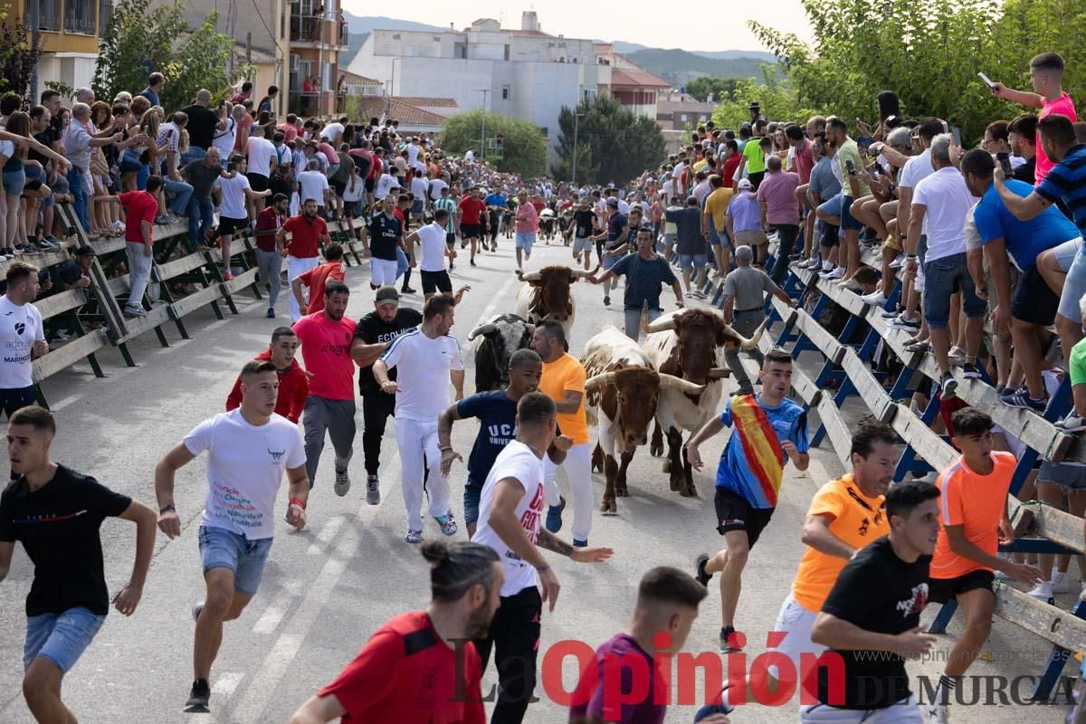 Primer encierro de la Feria del Arroz de Calasparra