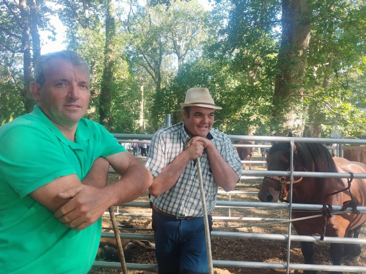 La feria sin vacas de San Pedro de Mallecina, en Salas, en imágenes