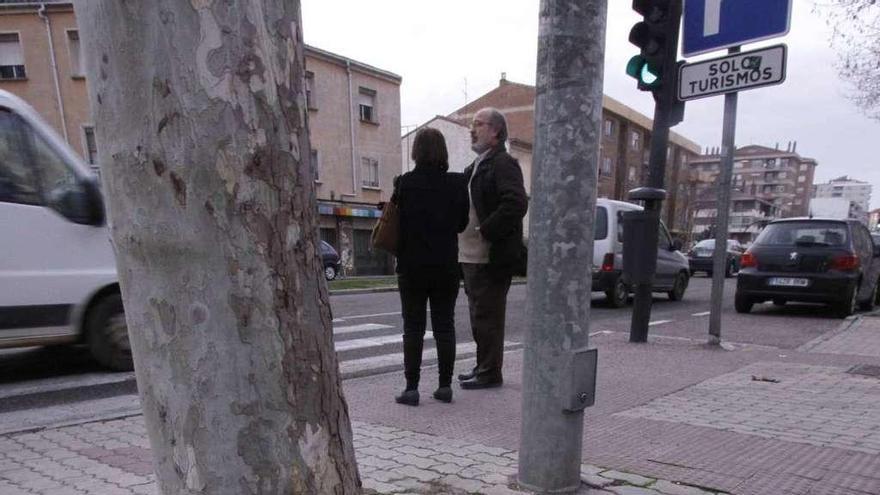 Adoquines levantados por la acción de las raíces en la avenida de Cardenal Cisneros.