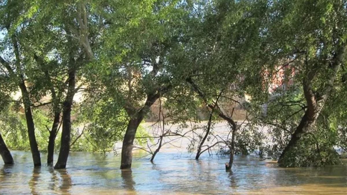 Imagen de archivo de la crecida de un río
