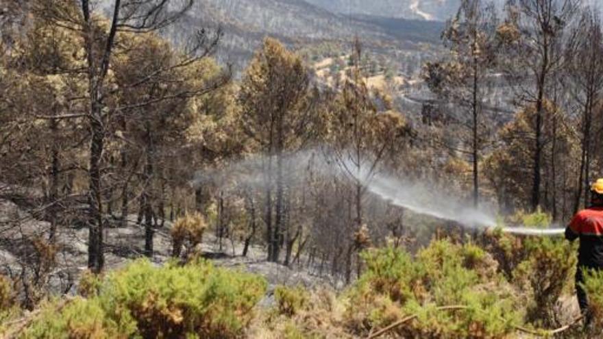 Bomberos trabajando ayer en las labores de extinción del fuego en la zona de Penàguila donde el frente del fuego ha tenido un efecto devastador.