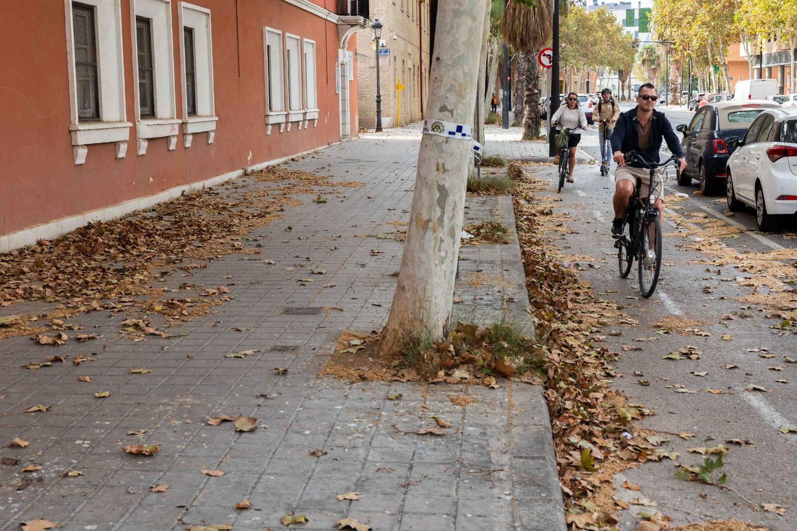 Temporal de viento en València