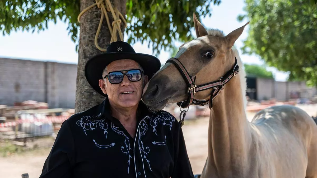 Pasos Largos, Catalina y Hércules reinan en la feria de ganado de Cáceres